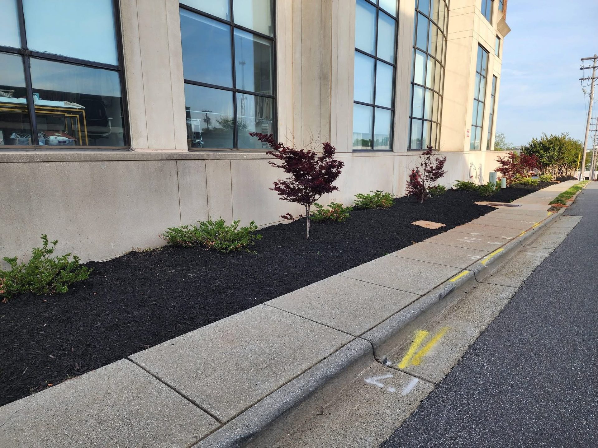 Newly installed landscape bed with mulch and plantings at a commercial property