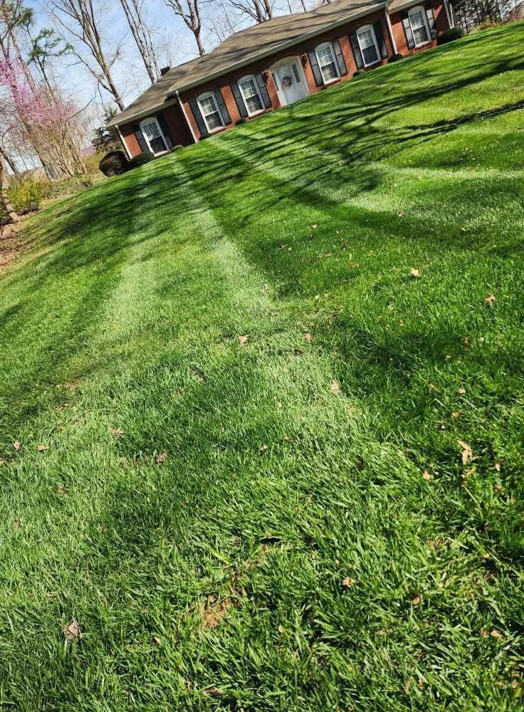 Residential property with freshly mowed lawn